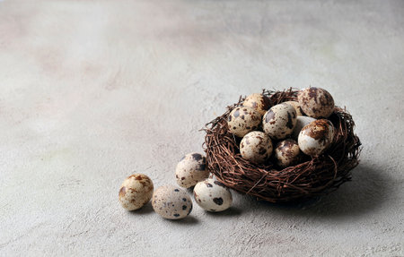 Eggs in nest on beige backgrounds. Quail eggs. Copy space.