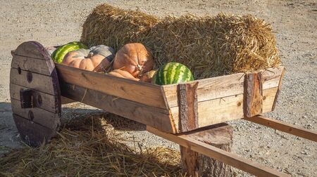 Old wooden cart with melon, watermelon and hayの写真素材