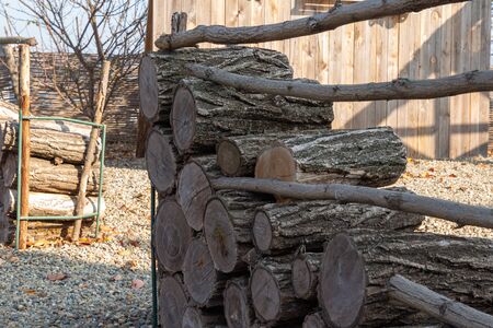 Harvesting firewood for the winter for cooking. Woodpile of firewood.