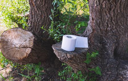 A roll of toilet paper. Corona panic. Toilet paper roll in the forest.の写真素材