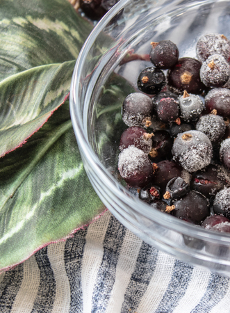 Berries of frozen currants in a glass bowl. Ice on the berries. Dark berries in the ice.の写真素材