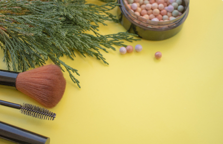 Cosmetic accessories. Brush, blush, lipstick, green branches on a yellow background. With empty space on the right. View from aboveの写真素材