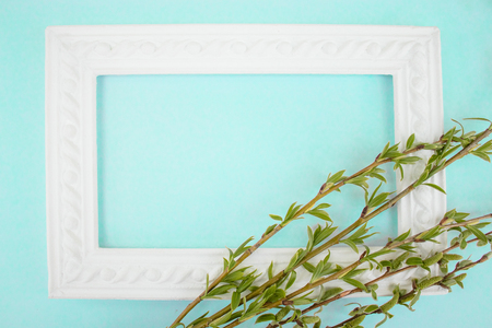 White frame with branches of green willow on a green background. Copy space in the middle for your text. Willow twigs.の写真素材