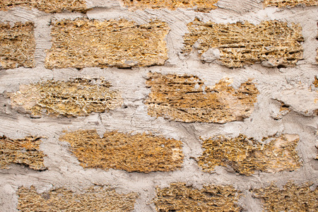 Background wall with shell rock. Old wall. Texture limestone. Textureの写真素材