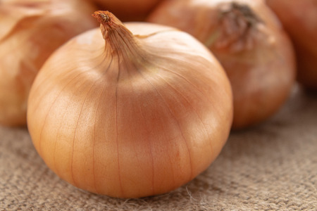Fresh onions on a wooden backgroundon, on a burlap. Onions - the head of the plant (onions). Yellow onionの写真素材