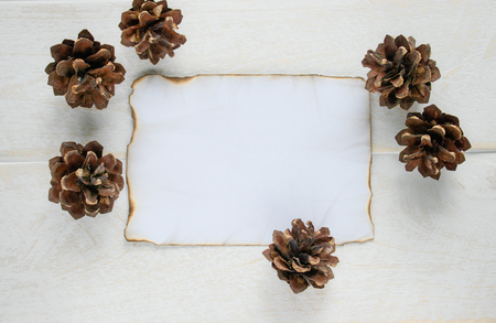 On white wooden boards, a sheet of paper burned along the edges, forest cones around the edges. Leaving space for text. Concept background.の写真素材