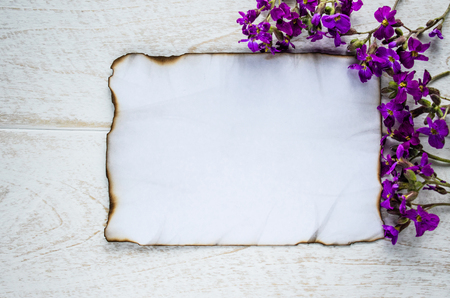 On white wooden boards, a white sheet of paper was burning on the edges, and purple flowers, leaving room for text. Concept background.の写真素材