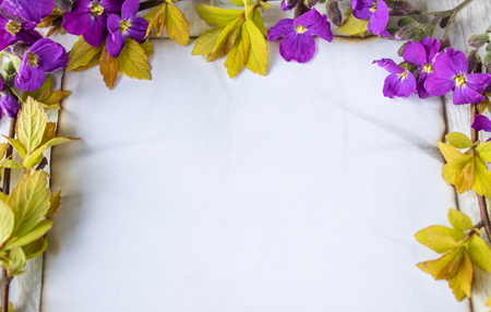 On white wooden boards, branches with yellow sheets and purple flowers, a white sheet of paper burned at the edges, leaving room for text. Concept background.の写真素材