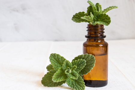 Fresh mint and mint oil on a wooden board. Natural essential oil of mint.の写真素材