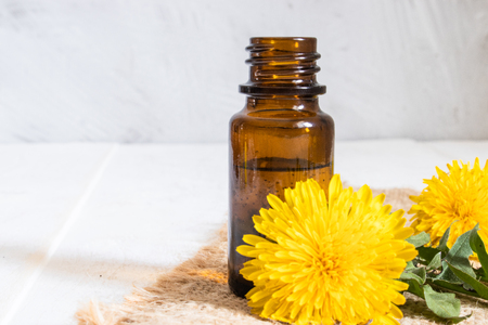 Organic essential oil in a small glass jar with green leaves and dandelion flowers on the table. Flower essential oil. Phytotherapy.の写真素材