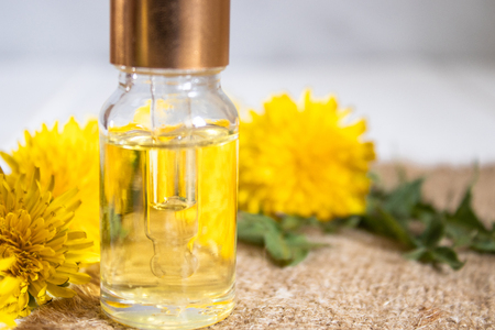 Organic essential oil in a small glass jar with green leaves and dandelion flowers on the table. Flower essential oil. Phytotherapy.の写真素材
