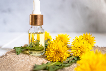 Organic essential oil in a small glass jar with green leaves and dandelion flowers on the table. Flower essential oil. Phytotherapy.の写真素材