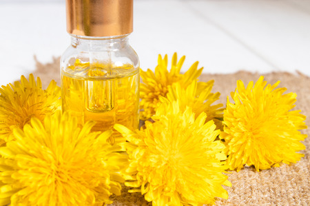 Bottle of essential oil with dandelion flowers in the foreground. Flower essential oil. Phytotherapy.の写真素材