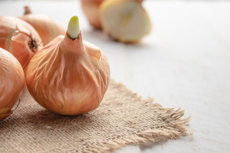 Burlap with yellow onions. Fresh onions on wooden background. Vegetables for a healthy diet. Vegan food.の写真素材
