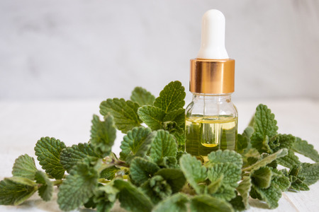 A bottle of mint essential oil with fresh mint leaves in the foreground. Natural essential oil of mint.の写真素材