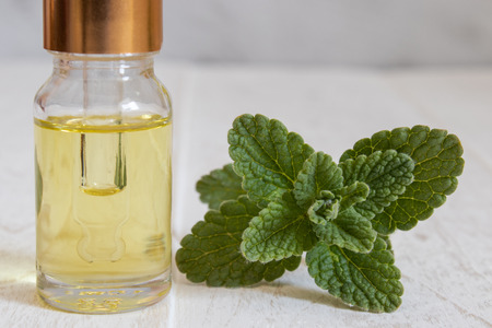 Fresh mint and mint oil on a wooden board. Natural essential oil of mint.の写真素材