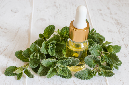 Organic essential oil of mint with green leaves. Natural essential oil of mint.の写真素材