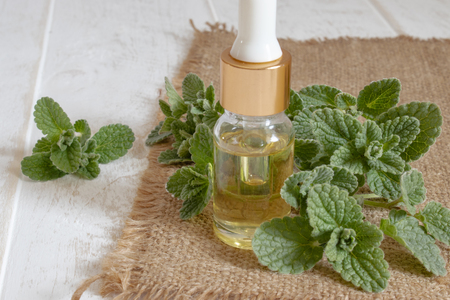 Organic essential oil of mint with green leaves. Natural essential oil of mint.の写真素材