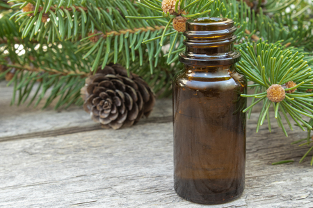 Pine essential oil in a small brown bottle and pine branches with green buds on a dark wooden tableの写真素材