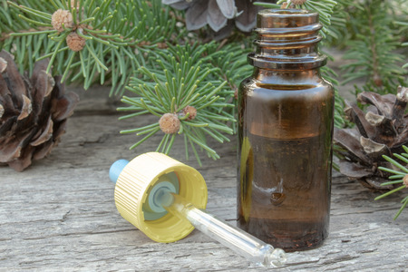 Essential coniferous oil in a dark bottle, a bottle of extract, pine branches, green needles.の写真素材