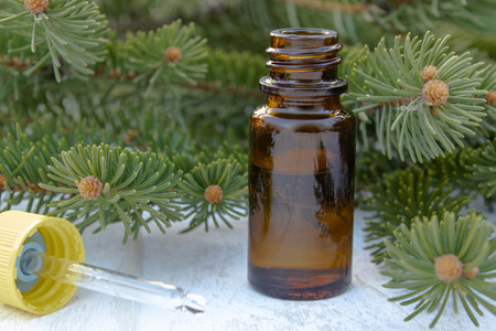 Essential coniferous oil in a dark bottle, a bottle of extract, pine branches, green needles.の写真素材