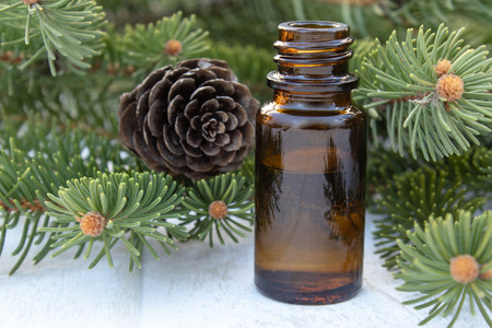 Pine essential oil in a small brown bottle and pine branches with green buds on a dark wooden tableの写真素材