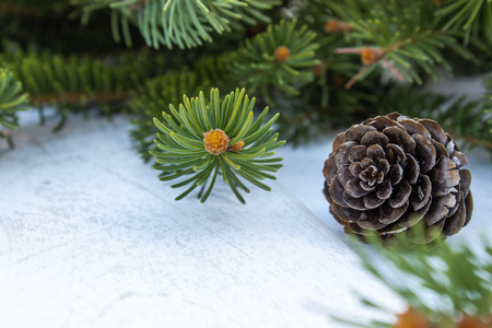 Green branches of a Christmas tree and cones on a white board background. Side view with copy space for your text.の写真素材