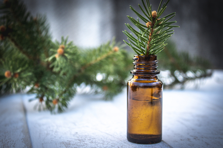 Essential coniferous oil in a dark bottle, a bottle of extract, a pine branch in a bottle, green needles.の写真素材