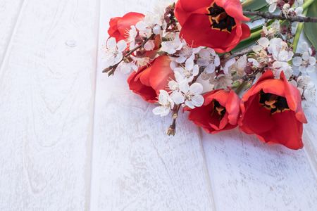 A bouquet of red tulips and branches of white flowers against white boards. Place for text. The concept of spring has come. View from above. Banner March 8, Easterの写真素材