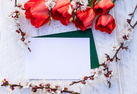 A bouquet of red tulips and branches of white flowers against white boards. Place for text. The concept of spring has come. View from above. Banner March 8, Easterの写真素材
