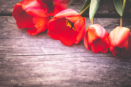 A bouquet of red tulips on the background of wooden, old boards. Place for text. The concept of spring has come. View from above. Banner March 8, Easterの写真素材