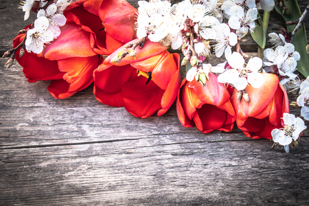 A bouquet of red tulips and branches of white flowers on old wooden boards. Place for text. The concept of spring has come. View from above. Banner March 8, Easterの写真素材