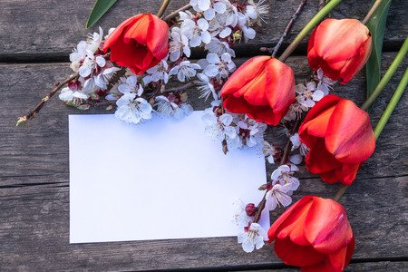 Bouquet with white apricot flowers and red tulips on the background of old, wooden boards. Place for text. The concept of spring has come.の写真素材