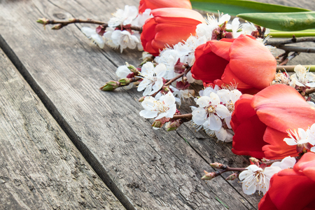 A bouquet of red tulips and branches of white flowers on old wooden boards. Place for text. The concept of spring has come. View from above. Banner March 8, Easterの写真素材