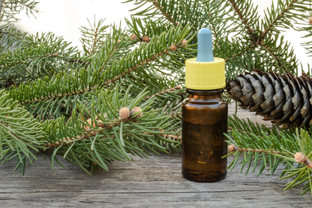 Essential coniferous oil in a dark bottle, a bottle of extract, pine branches, green needles.の写真素材