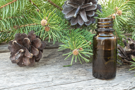 Essential coniferous oil in a dark bottle, a bottle of extract, pine branches, green needles.の写真素材