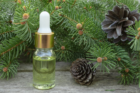 Essential oil of pine in a glass bottle with coniferous pine leaves on a wooden table.の写真素材