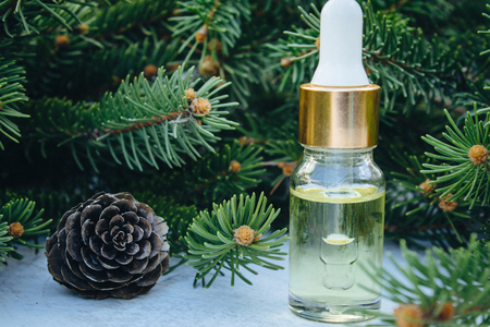 Essential oil of pine in a glass bottle with coniferous pine leaves on a wooden table.の写真素材