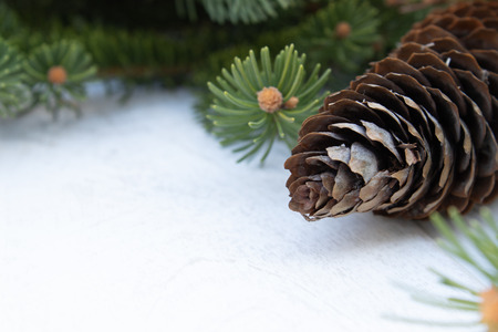 Green branches of a Christmas tree and cones on a white board background. Side view with copy space for your text.の写真素材