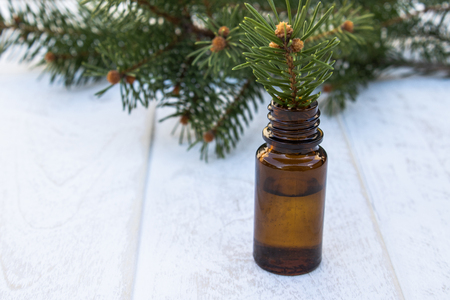 Essential coniferous oil in a dark bottle, a bottle of extract, pine branches, green needles.の写真素材
