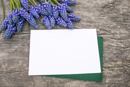 A bouquet of blue Muscari flowers on old, wooden boards, with a white sheet of paper, bells. View from above. Place for text.の写真素材