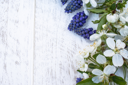 A bouquet of blue bells on white, wooden boards, with white flowers of cherry, bells. View from above. Place for text.の写真素材