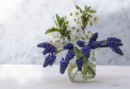 A bouquet of blue flowers, bluebells and white cherry blossoms in a jar of water on a light background. There is a place for your text.の写真素材
