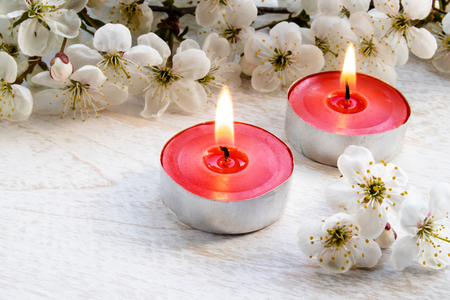 Closeup of red candles near the branches of white cherry blossoms. Burning candleの写真素材