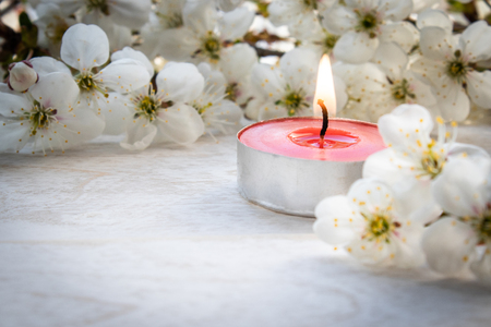 Red candle with white cherry branches. Close-up.の写真素材