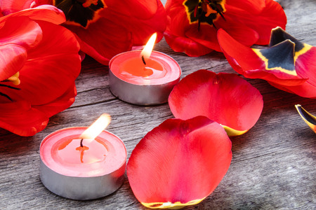Two red candles are burning near the tulips and fallen petals. Red burning candle near the petals.の写真素材