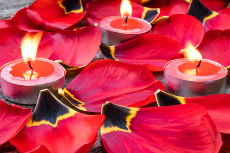 Fallen, red tulip petals near burning candles. A candle is burning near the tulip petals.の写真素材
