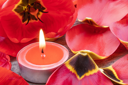 A red, burning candle is burning near the fallen petals of red tulips. The red candle is burning on the table.の写真素材