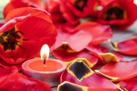 A red, burning candle is burning near the fallen petals of red tulips. The red candle is burning on the table.の写真素材