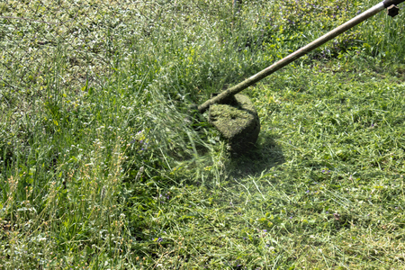 A man with a manual lawn mower mows the grass, mower closeup.の写真素材